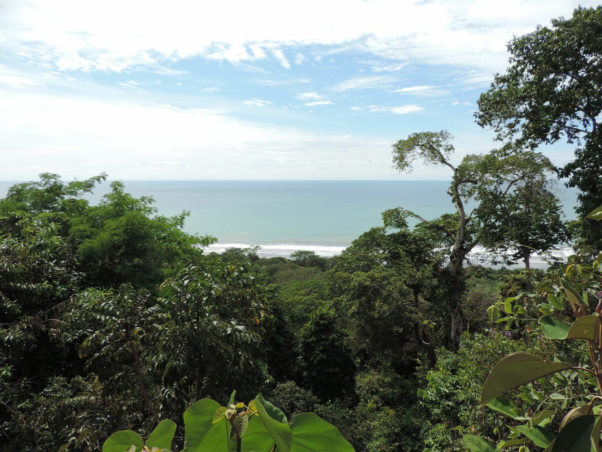 Ranchos Remo Lodge Uvita Exteriör bild